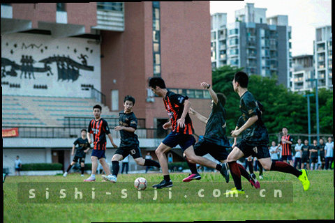 夏季蝉翼与公告纸张叠合的局部特写